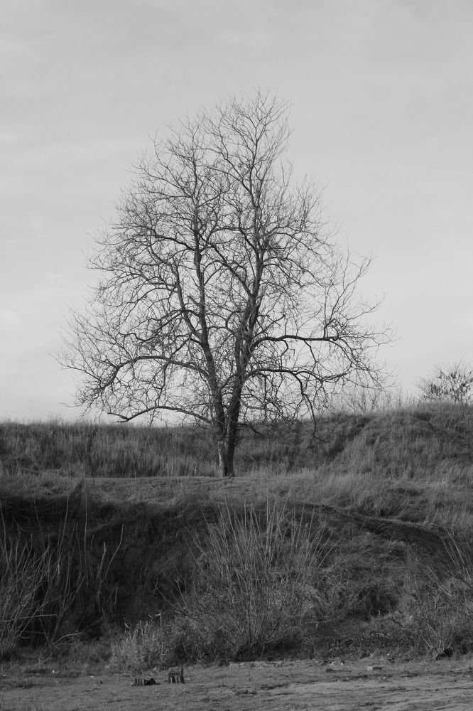 Photograph by Алексей Шевцов