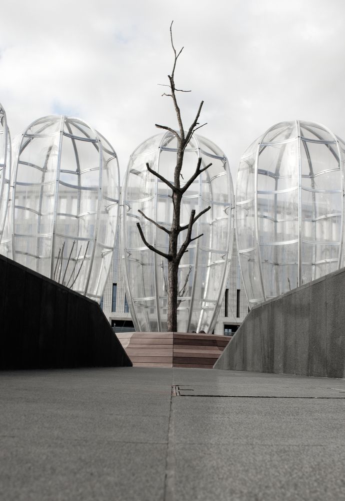 Photograph by Алексей Шевцов