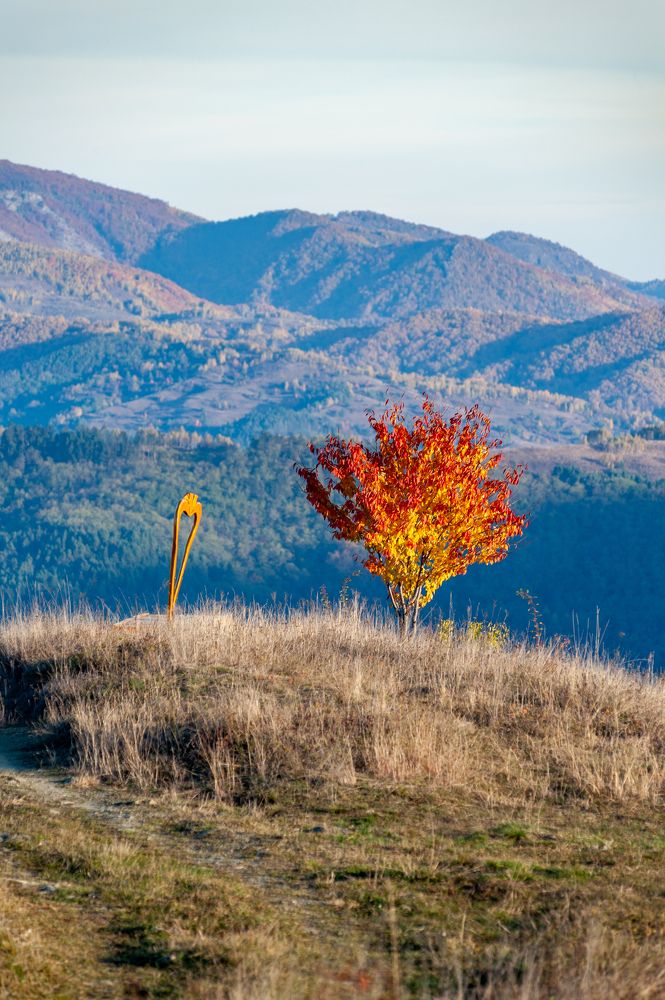 Photograph by Pucs Fongabe