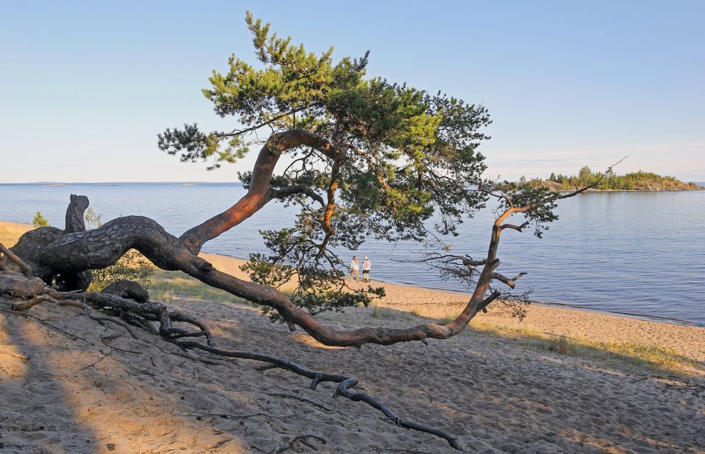 Photograph by Сергей Иванов