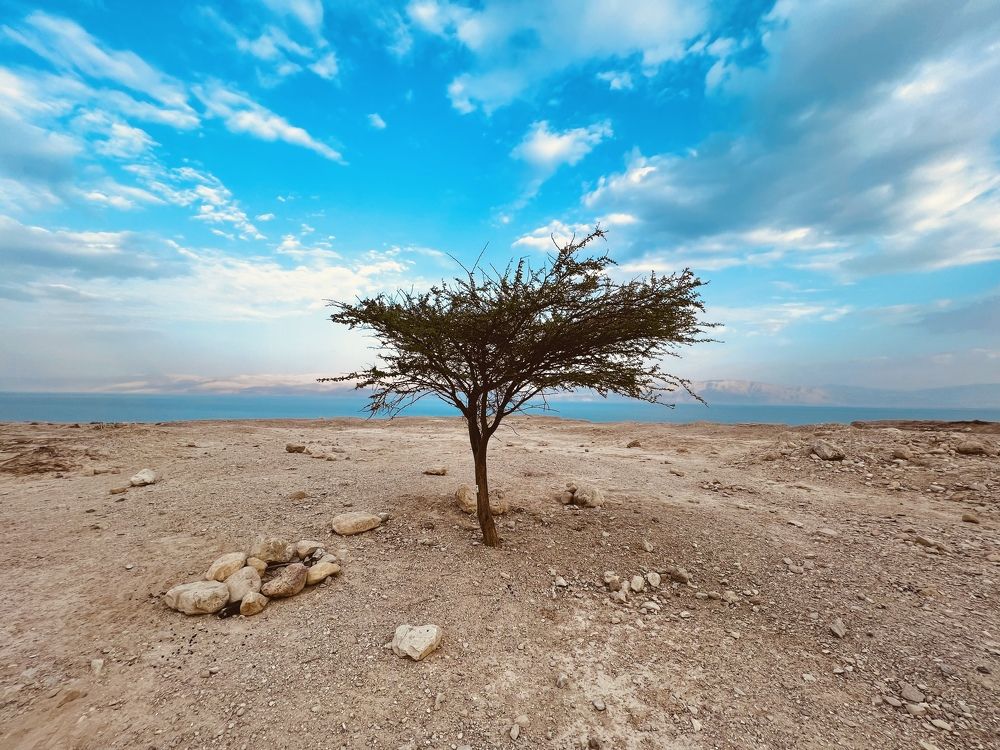 Photograph by Эльчин