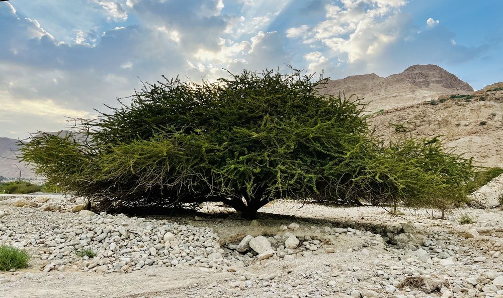 Photograph by Эльчин