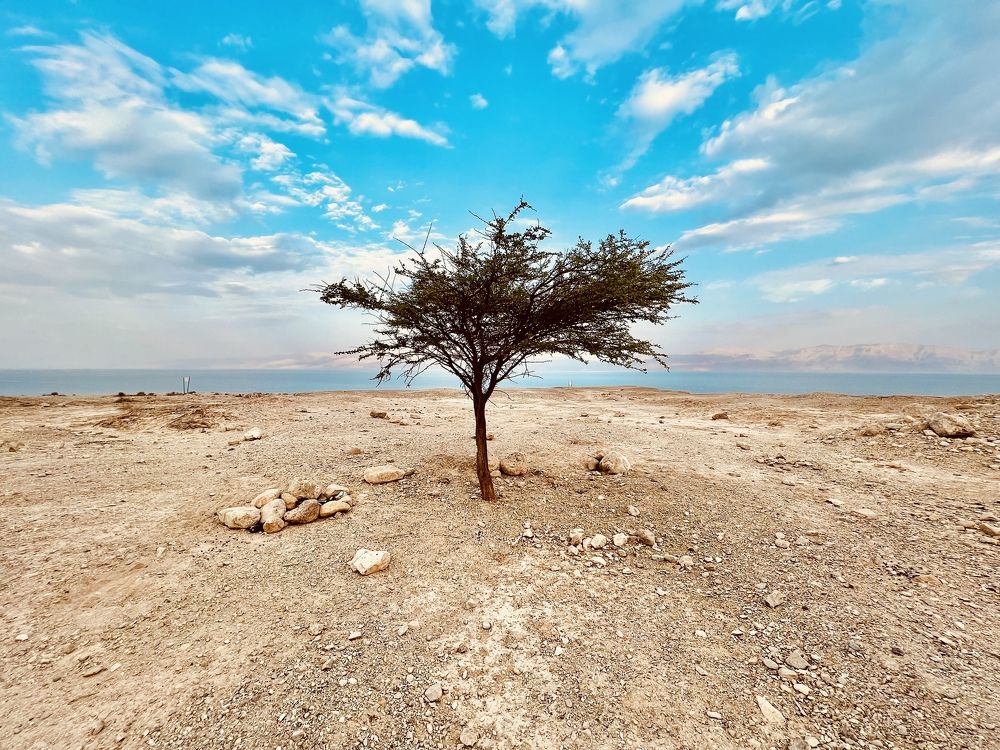 Photograph by Эльчин