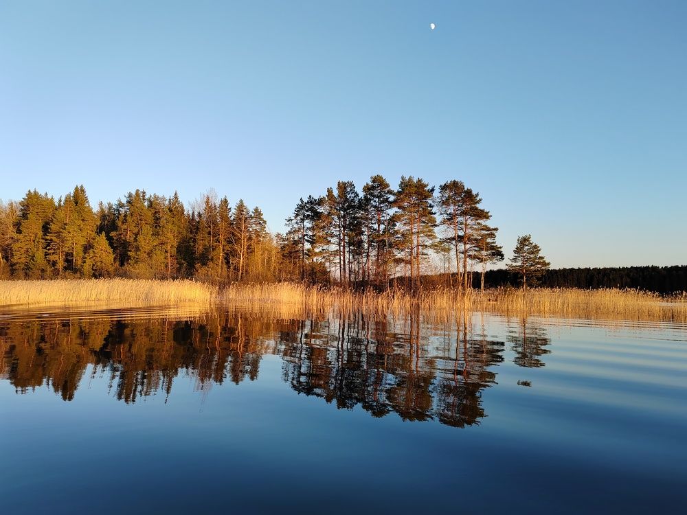 Photograph by Анастасия Молчанова