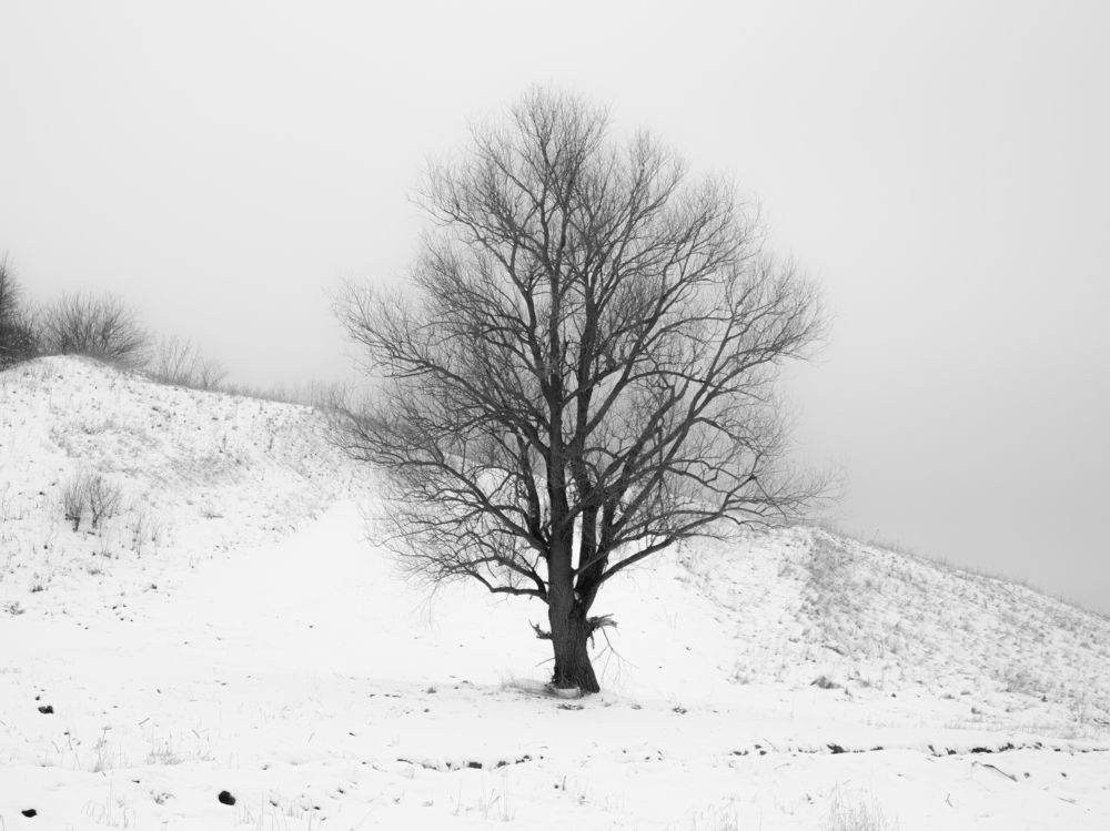 Photograph by Дмитрий Давидов