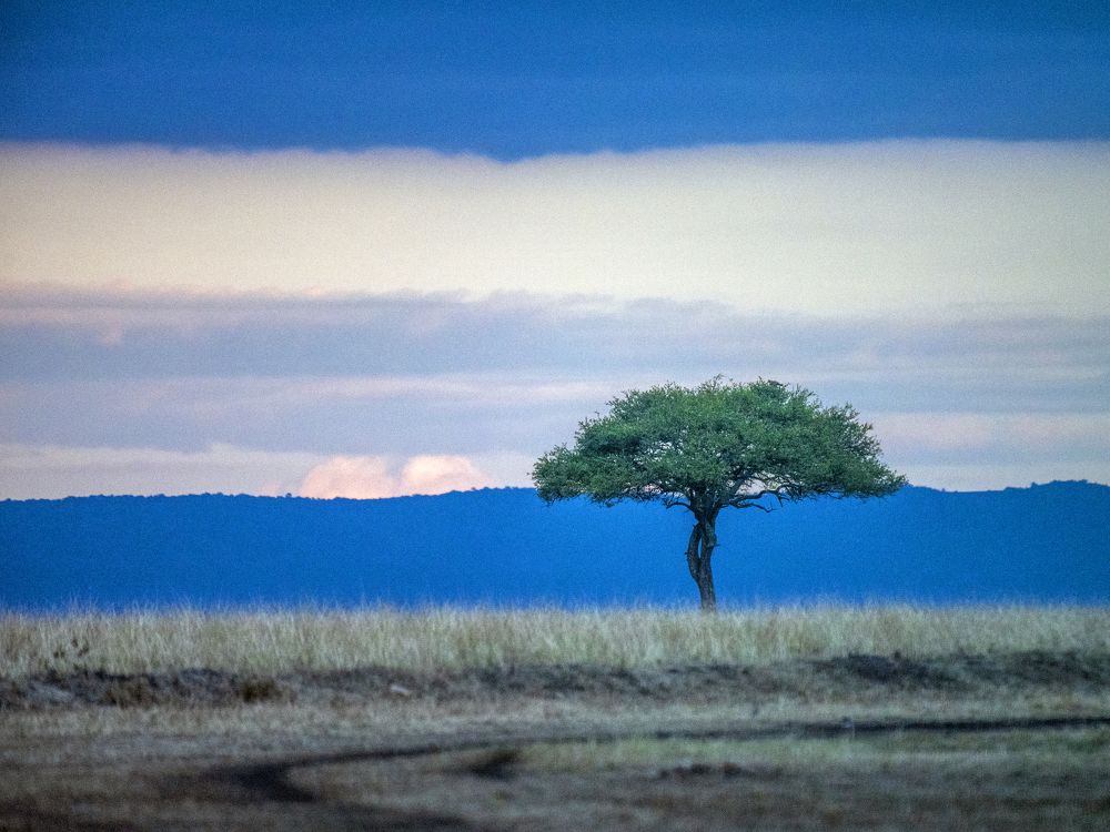 Photograph by Missary Galal