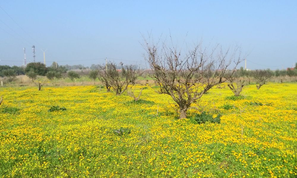 Photograph by Salih Aqeil