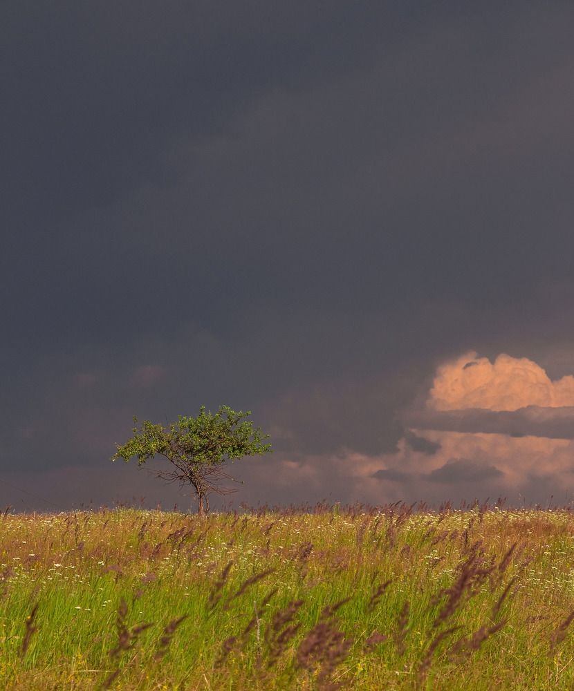 Photograph by Данила Черных