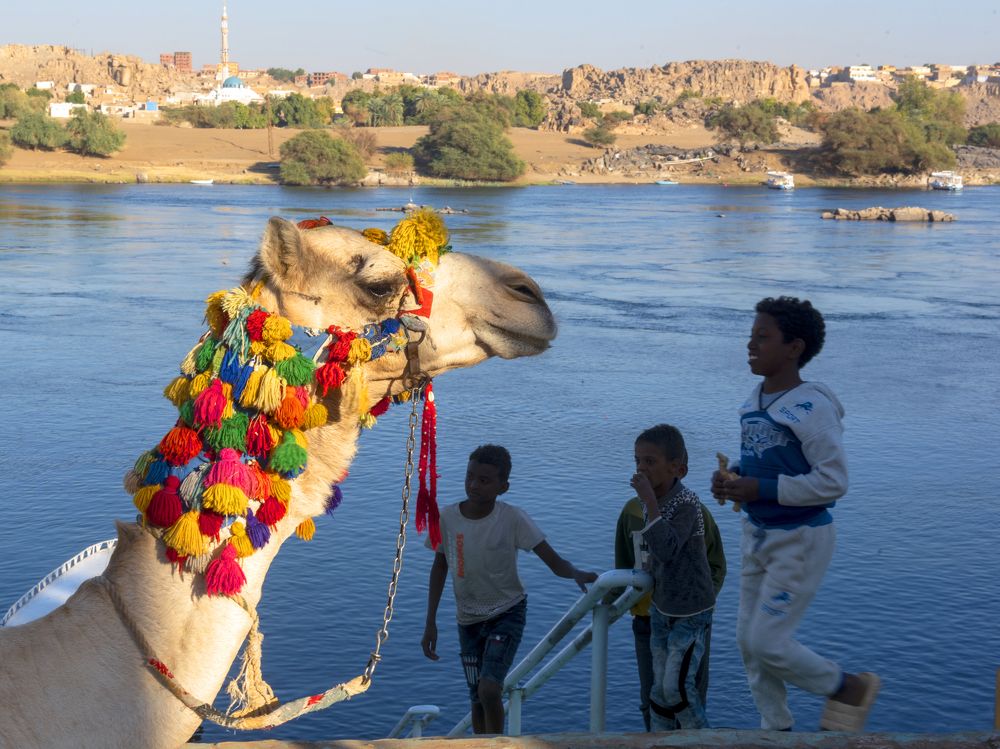 Photograph by Missary Galal