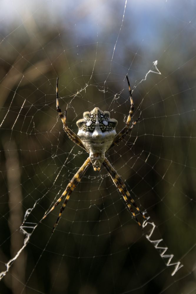 Фотография автора Hugo Marc