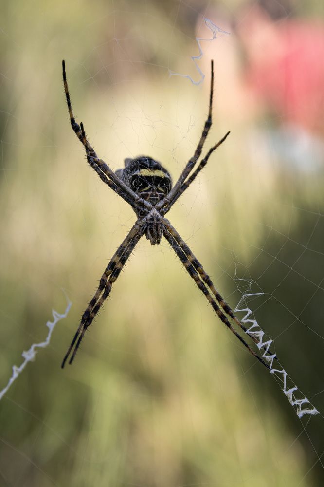 Фотография автора Hugo Marc