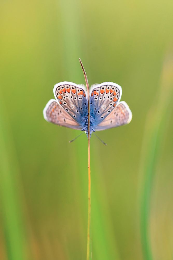 Photograph by Наталия Шинкевич