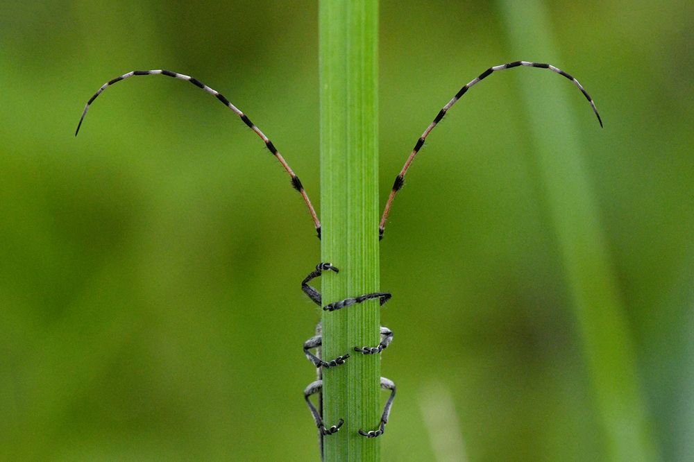 Photograph by Наталия Шинкевич