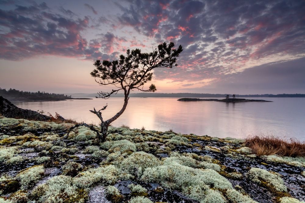 Photograph by Nadezhda Okorokova