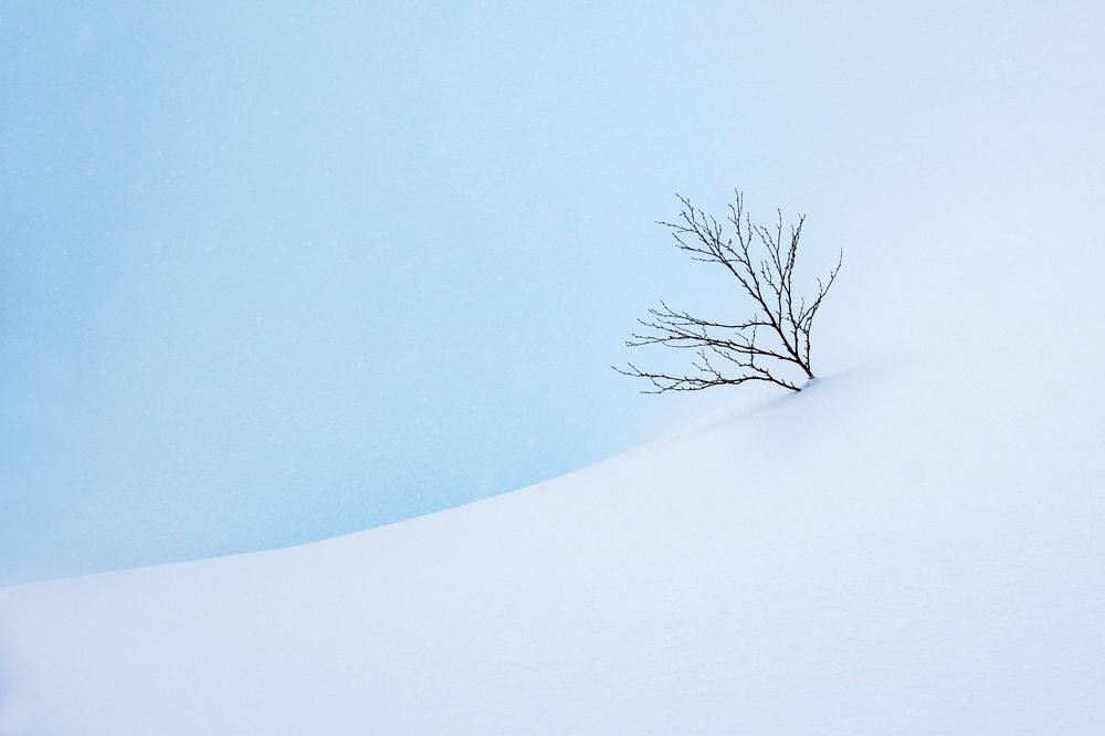 Photograph by Наталия Шинкевич