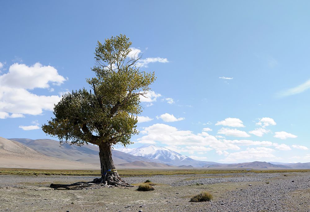 Photograph by Наталия Шинкевич