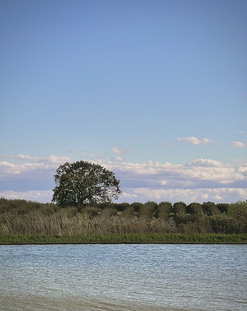 Photograph by Елена Громова