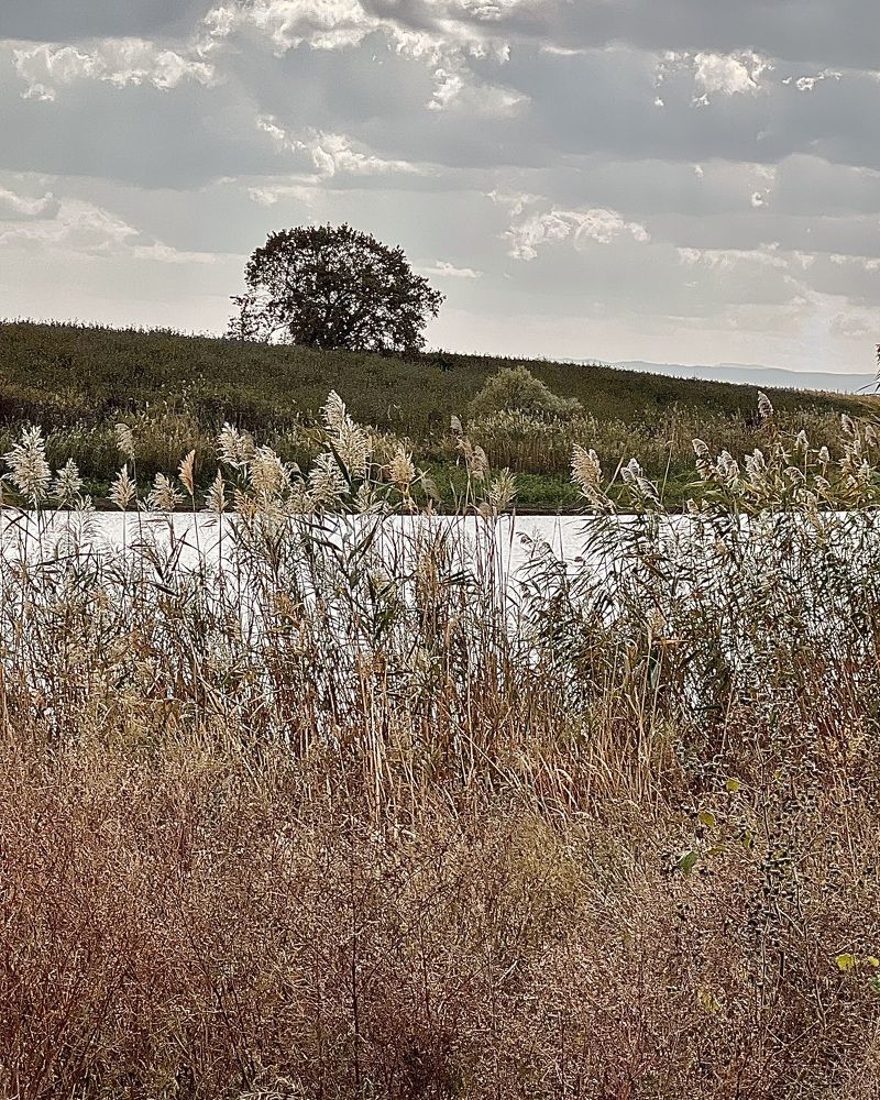 Photograph by Елена Громова