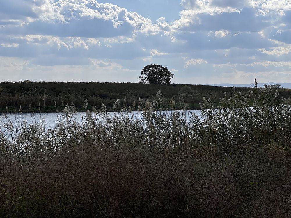 Photograph by Елена Громова