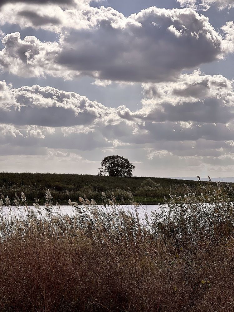 Photograph by Елена Громова