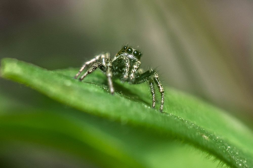 Photograph by Людмила Прибылова