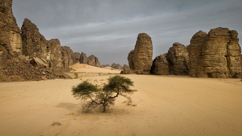 Фотография автора Alex Mimo