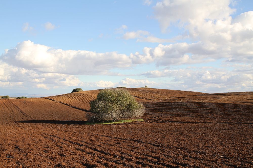 Photograph by mansour Hamdaoui