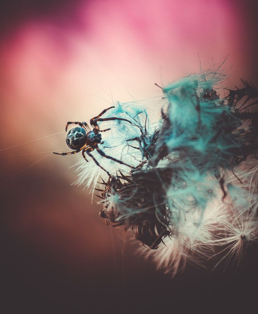 Photograph by Данила Черных