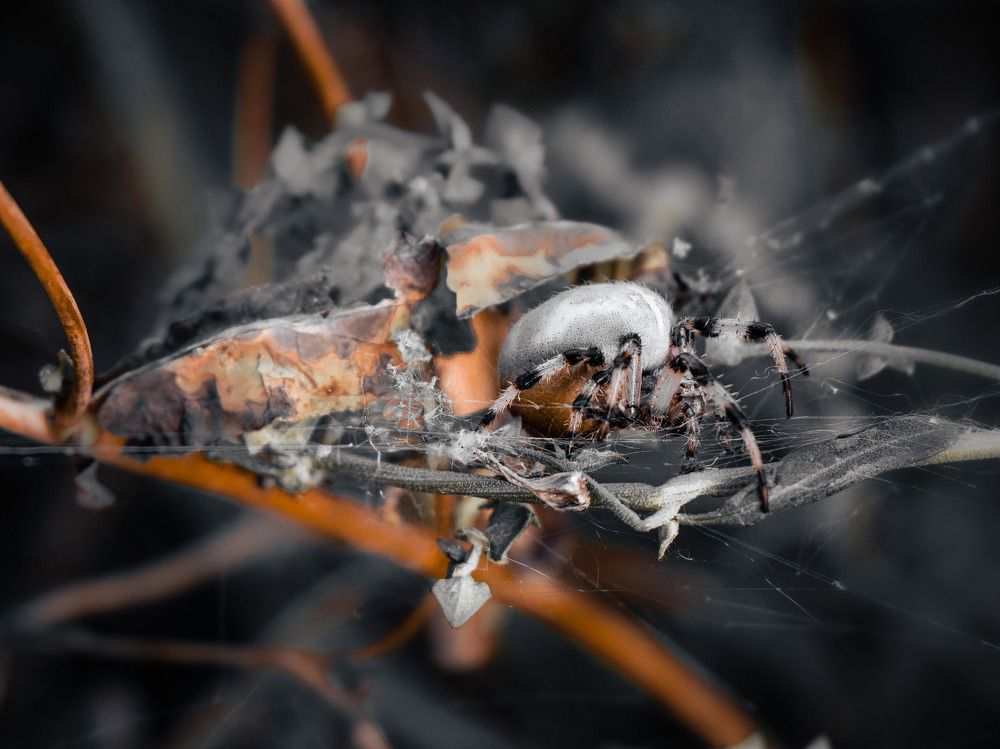 Photograph by Данила Черных