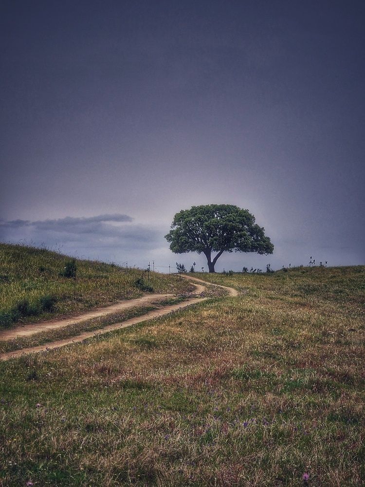 Photograph by Manuel Palma