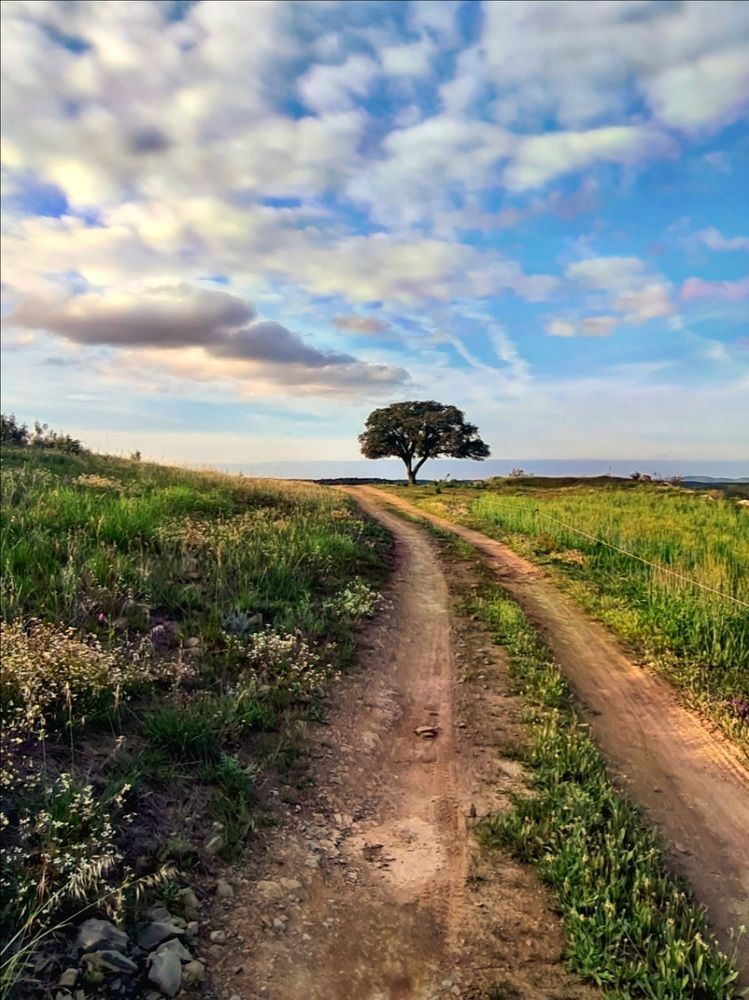 Photograph by Manuel Palma