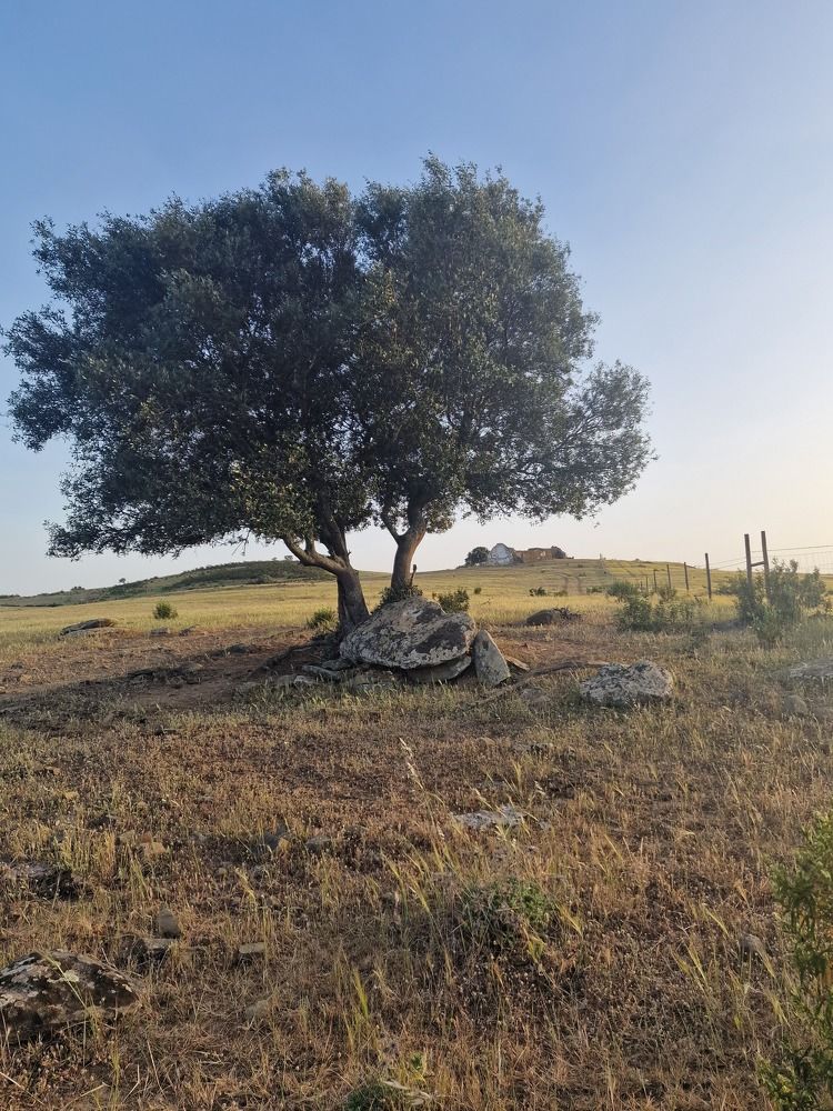 Photograph by Manuel Palma