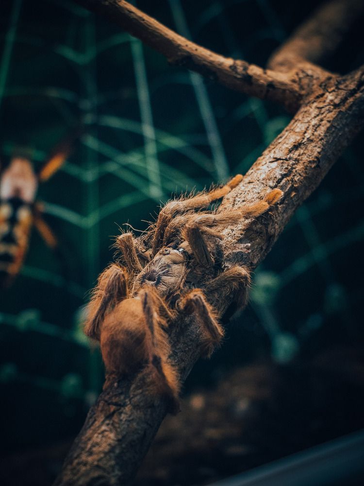 Photograph by Данила Черных