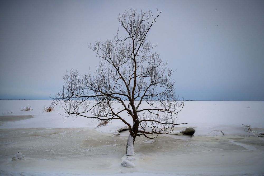 Photograph by Бахтадзе Дмитрий