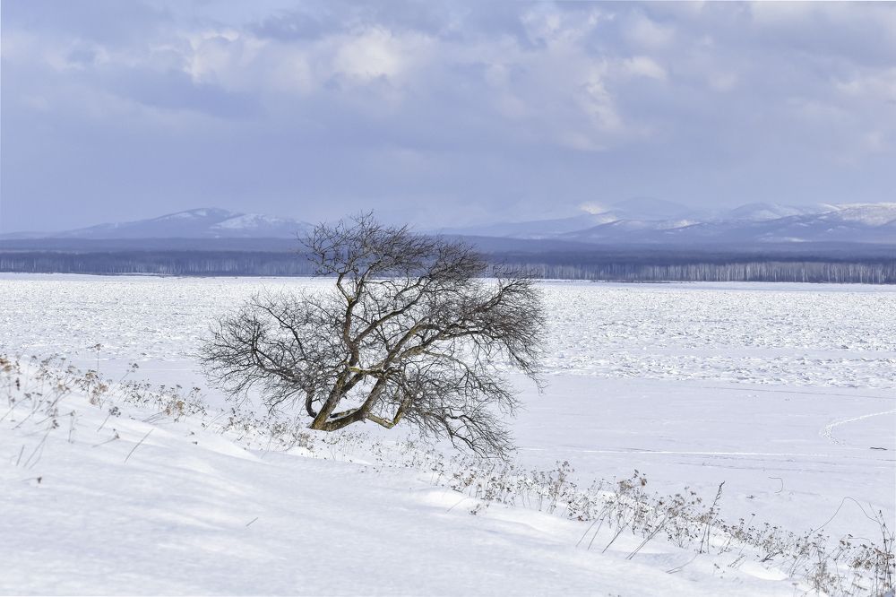 Photograph by Irina Luidinshina