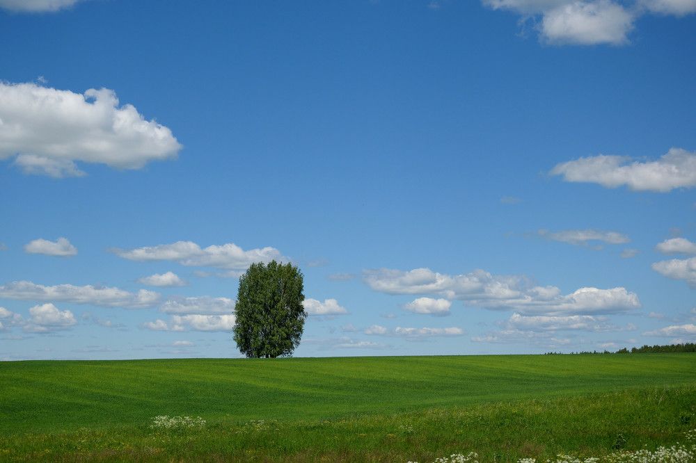 Photograph by Андрей Пляскин