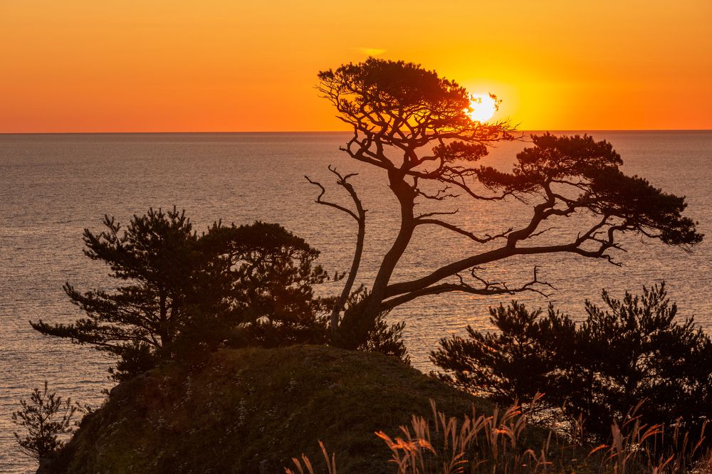 Photograph by Sergey Nikolenko