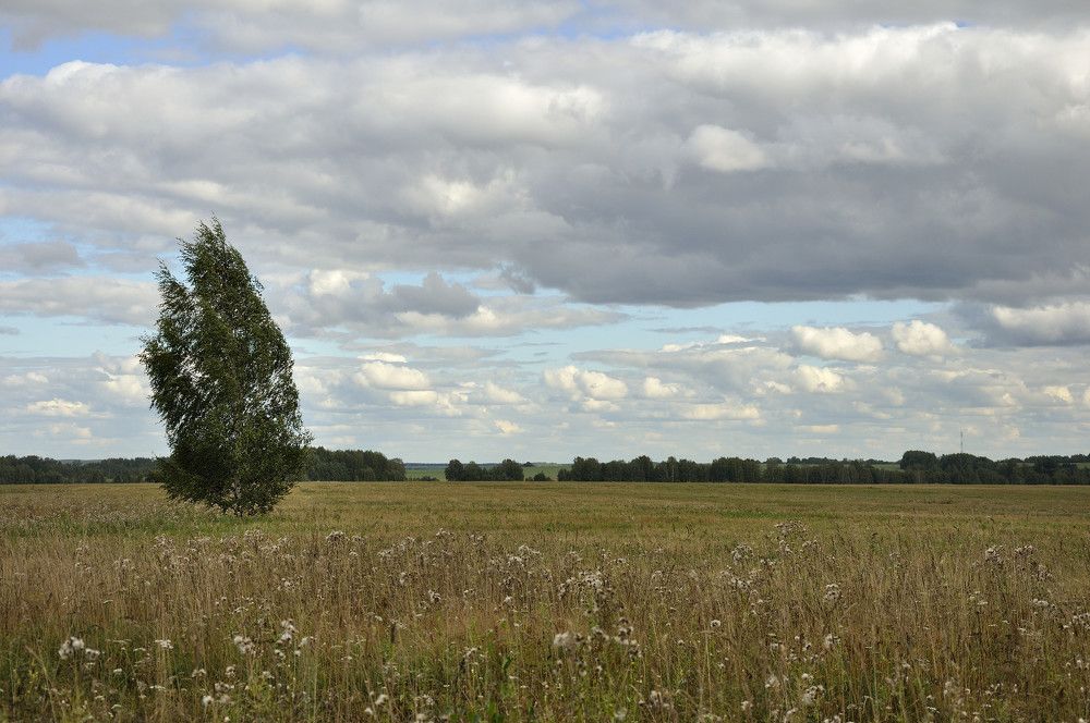 Photograph by Андрей Пляскин