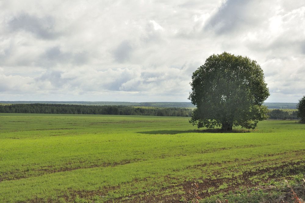 Photograph by Андрей Пляскин