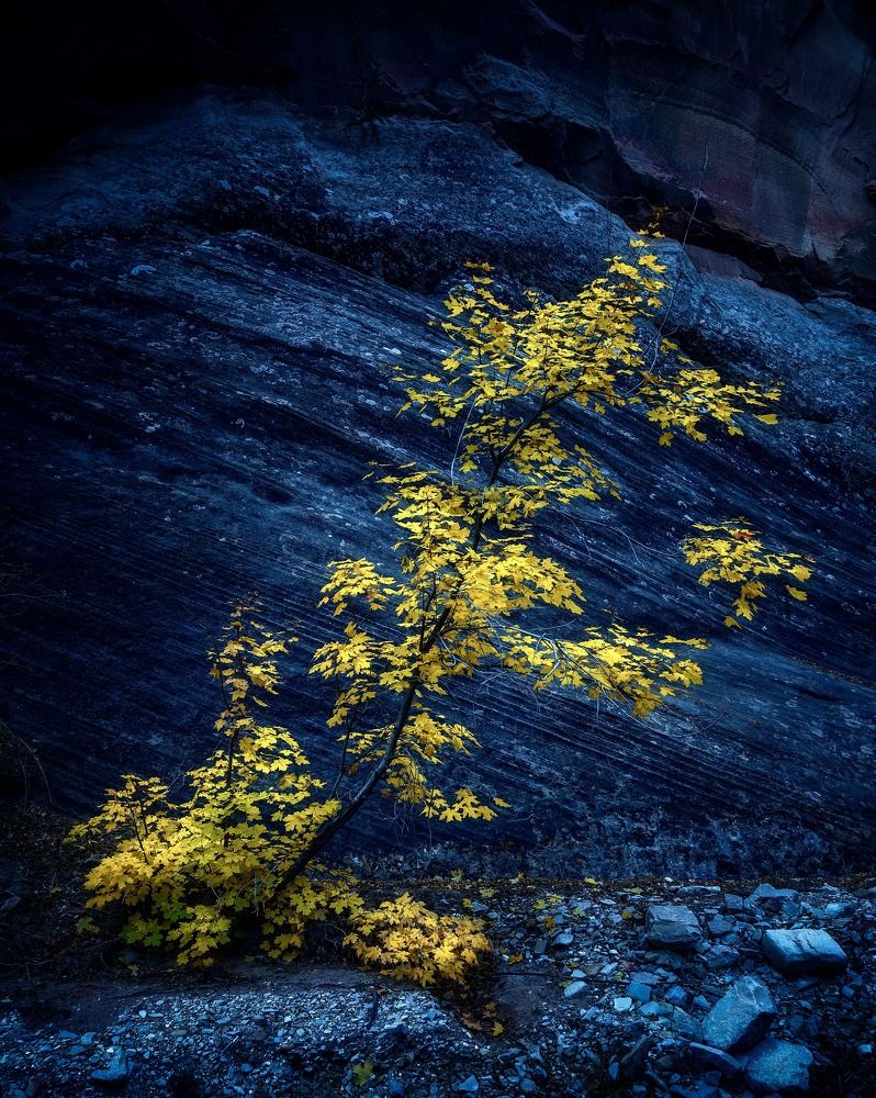 Photograph by Carlos Cuervo