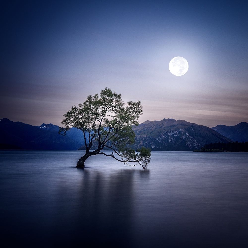 Photograph by Carlos Cuervo