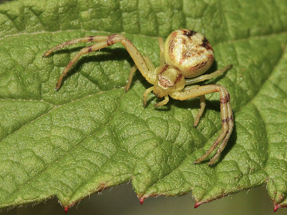 Фотография автора Marina Martorelli