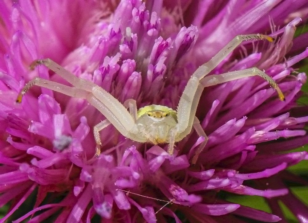 Фотография автора Marina Martorelli