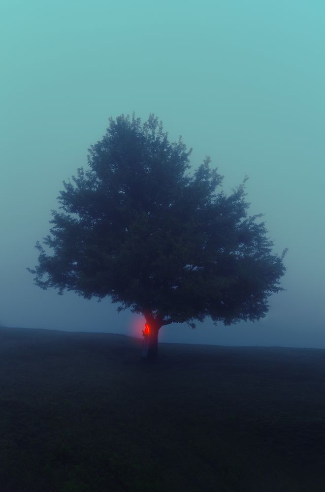 Photograph by Morteza Ghanbari