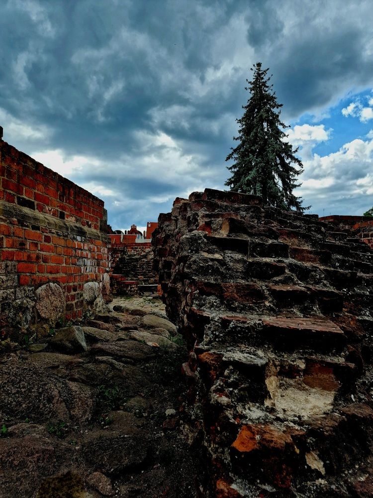 Фотография автора Maryna Pytliak