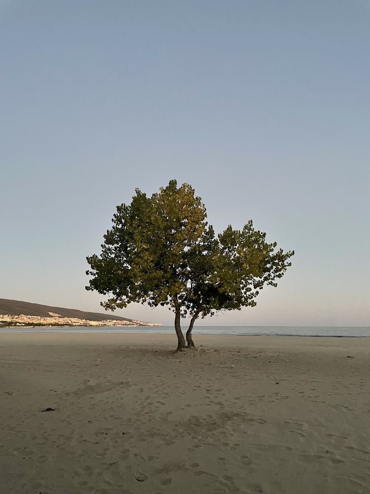 Photograph by Юлия Капустина