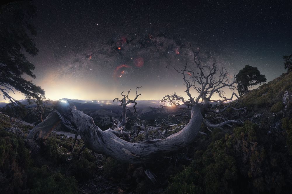 ABRAZO A LAS ESTRELLAS