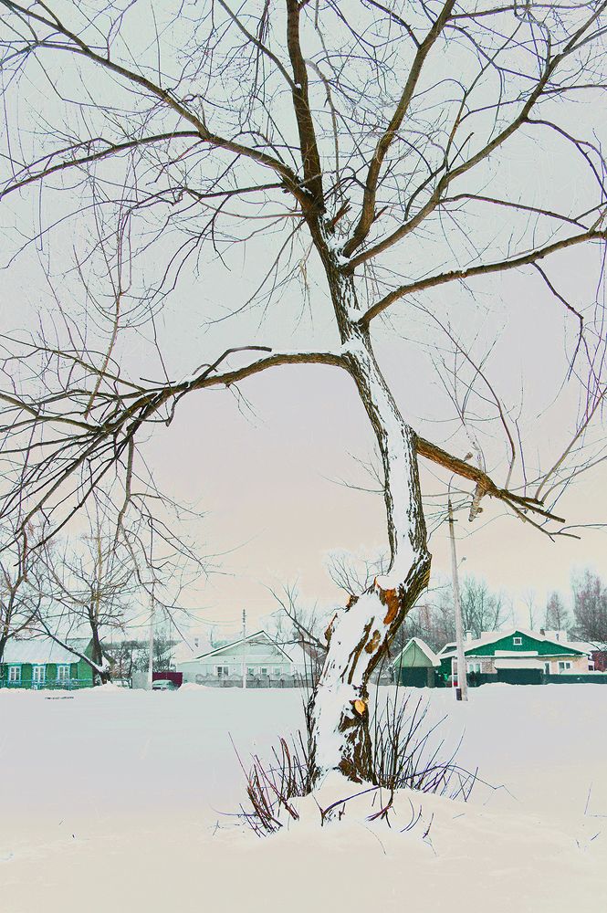 Photograph by Борис Назаров