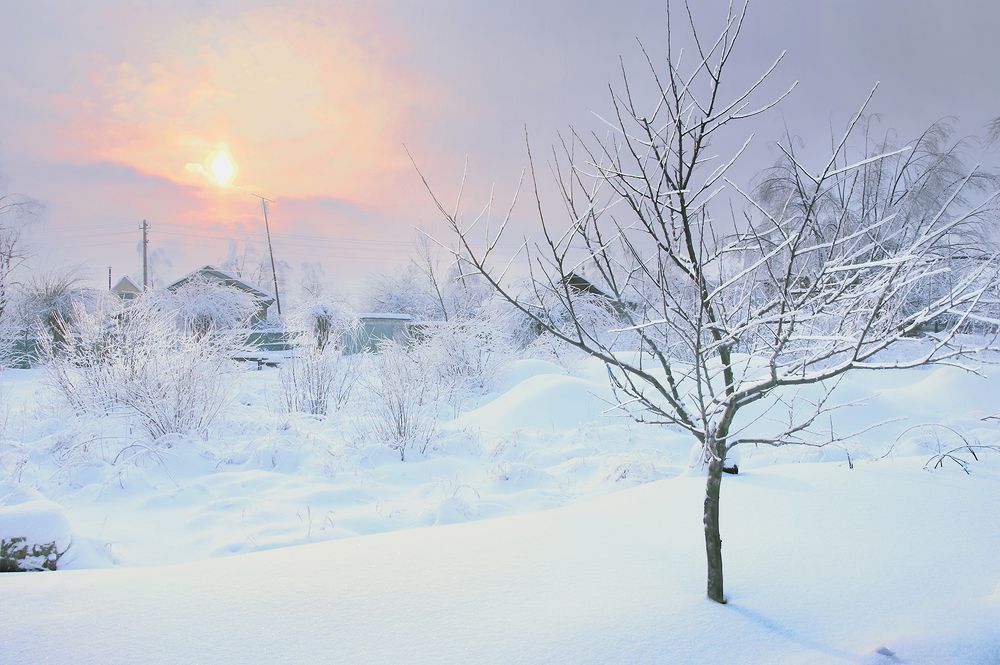 Photograph by Борис Назаров