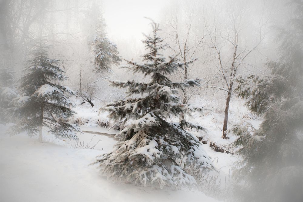 Сказочная метель